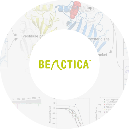 Case Studies Beactica