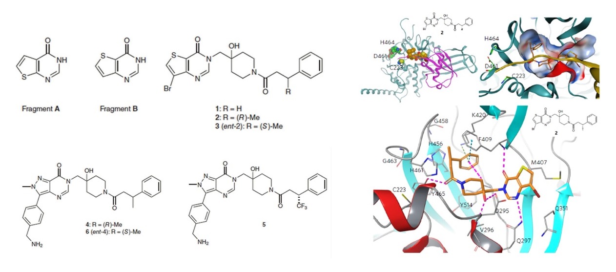 Almac - USP7 - Fig1